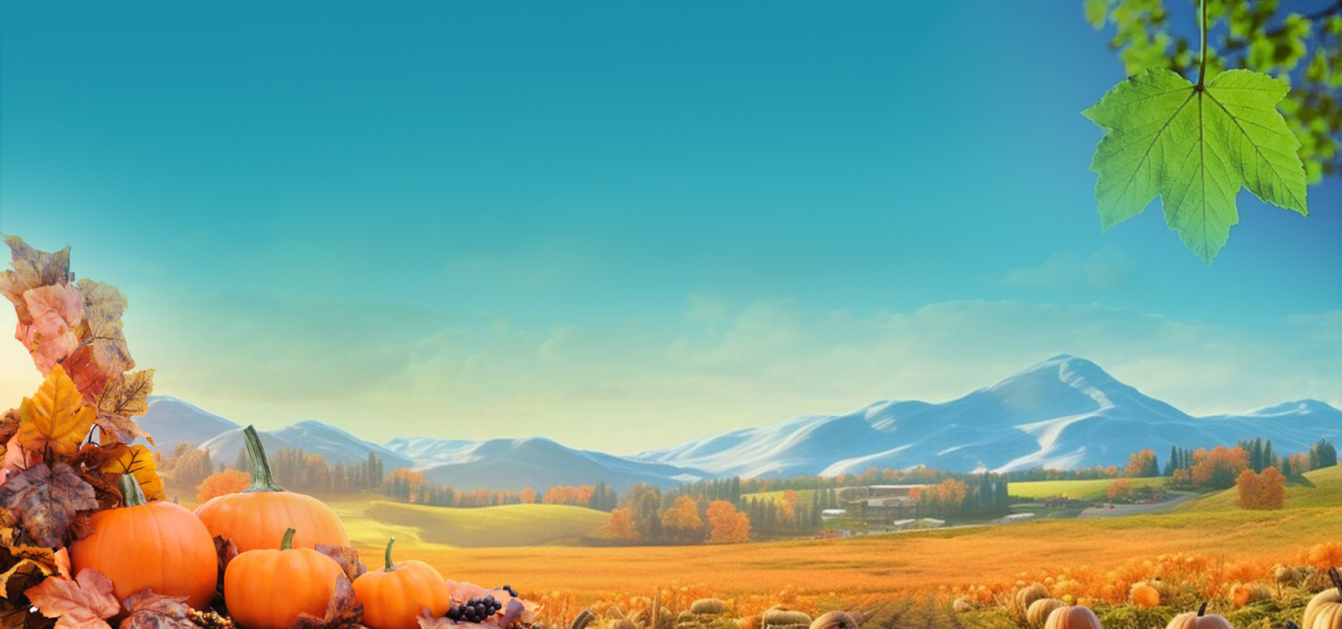 Celebrate Growth and Innovation with Our Thanksgiving Sale