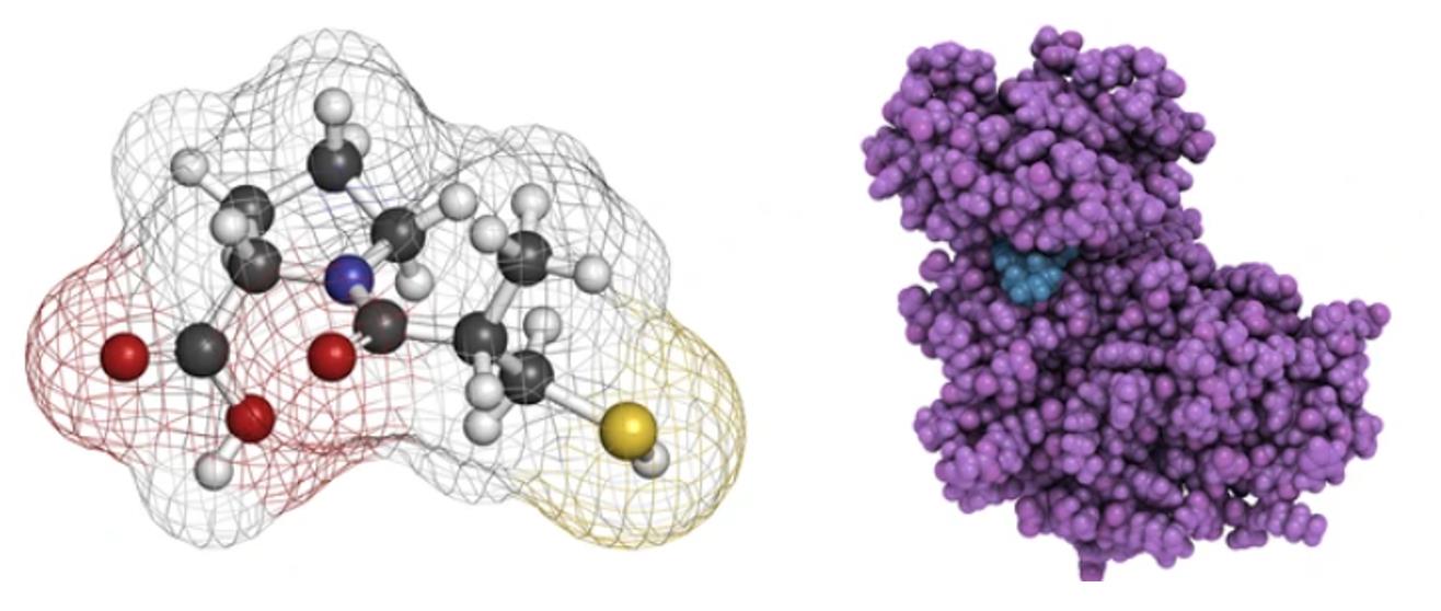 Enzyme-based Drug Metabolism Consulting