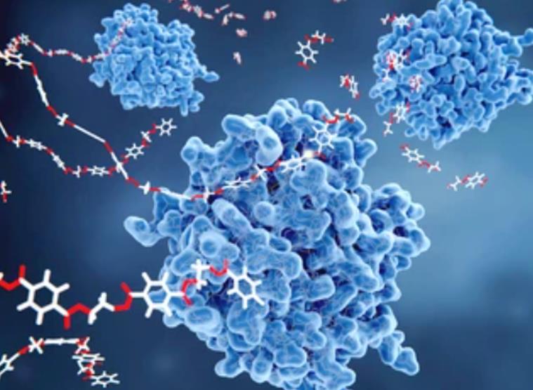 Design of Novel Enzyme Biocatalysts for Industrial Bioprocess