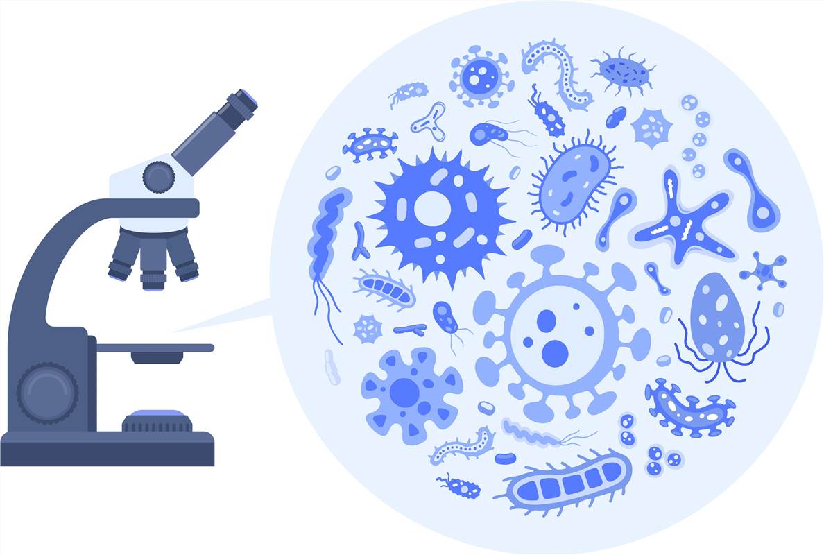 2-3-8-microbiological-testing-consulting-1