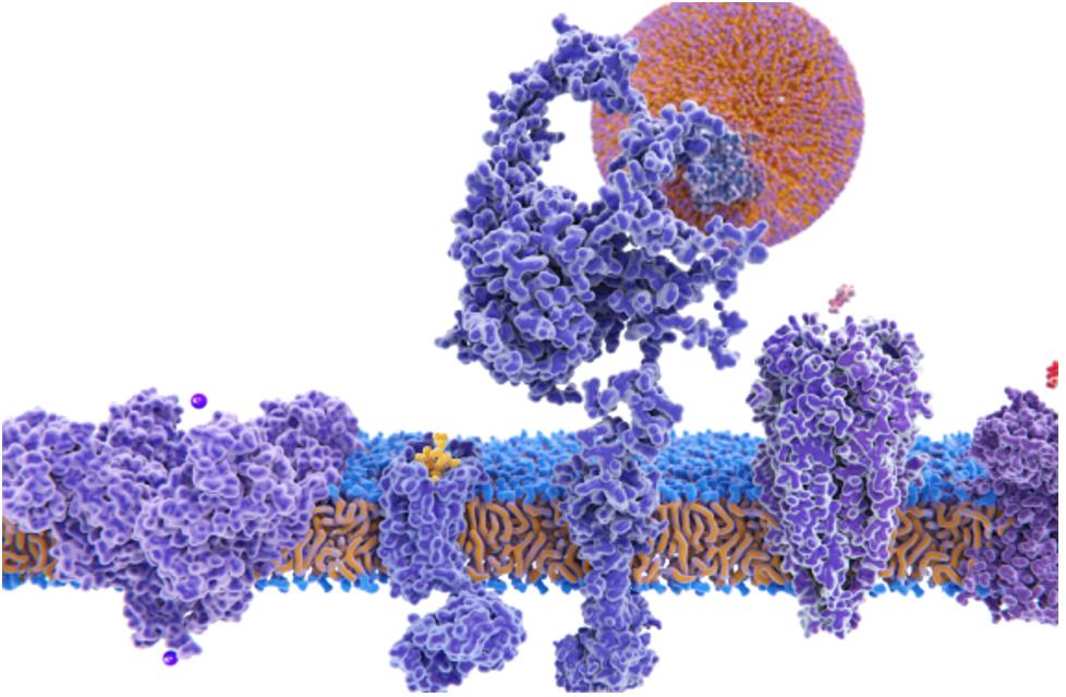 Structural Biology Technology Platform Construction Consulting